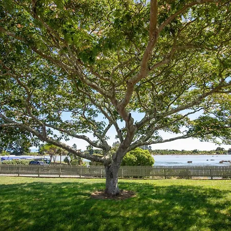 Tahuna Beach Holiday Park Nelson Room photo