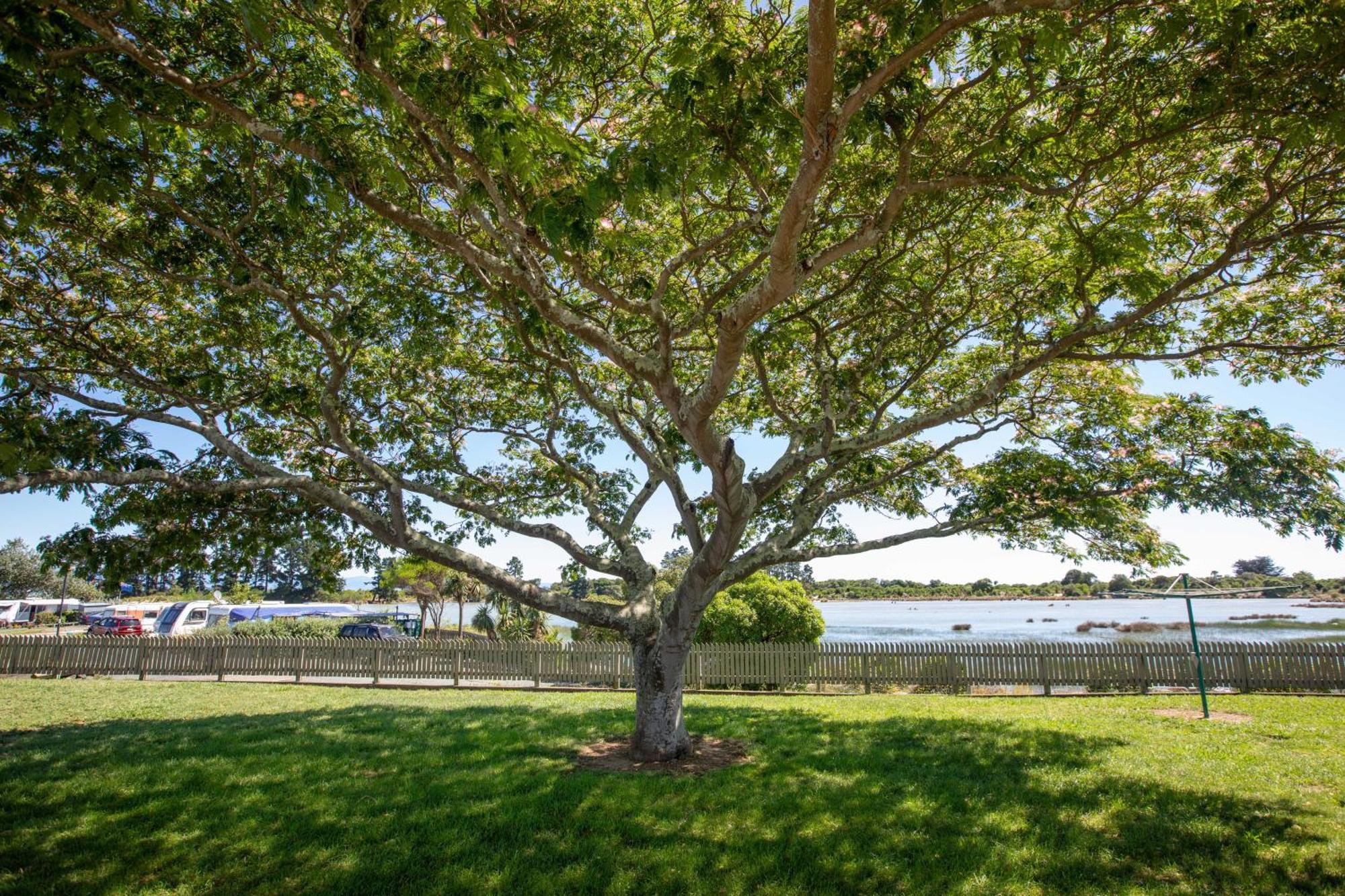 Tahuna Holiday park 4*